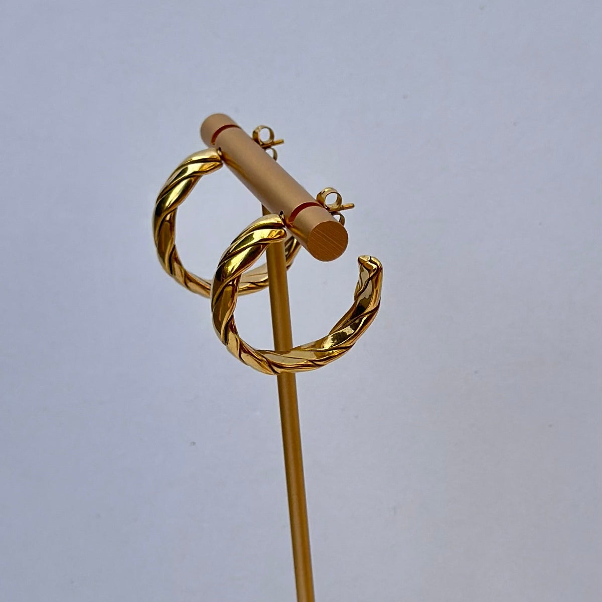 Alejandra Hoops