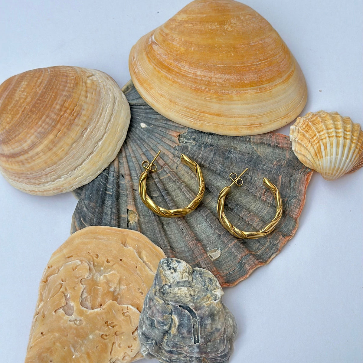 Alejandra Hoops