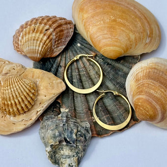 Almara Hoops