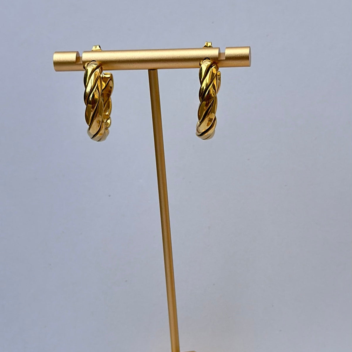 Alejandra Hoops