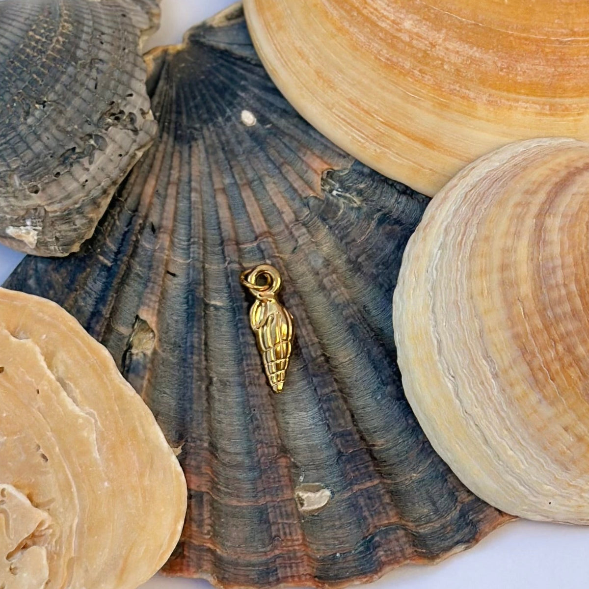 Valencia Charm