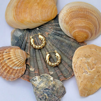 Rocío Hoops
