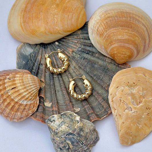 Rocío Hoops