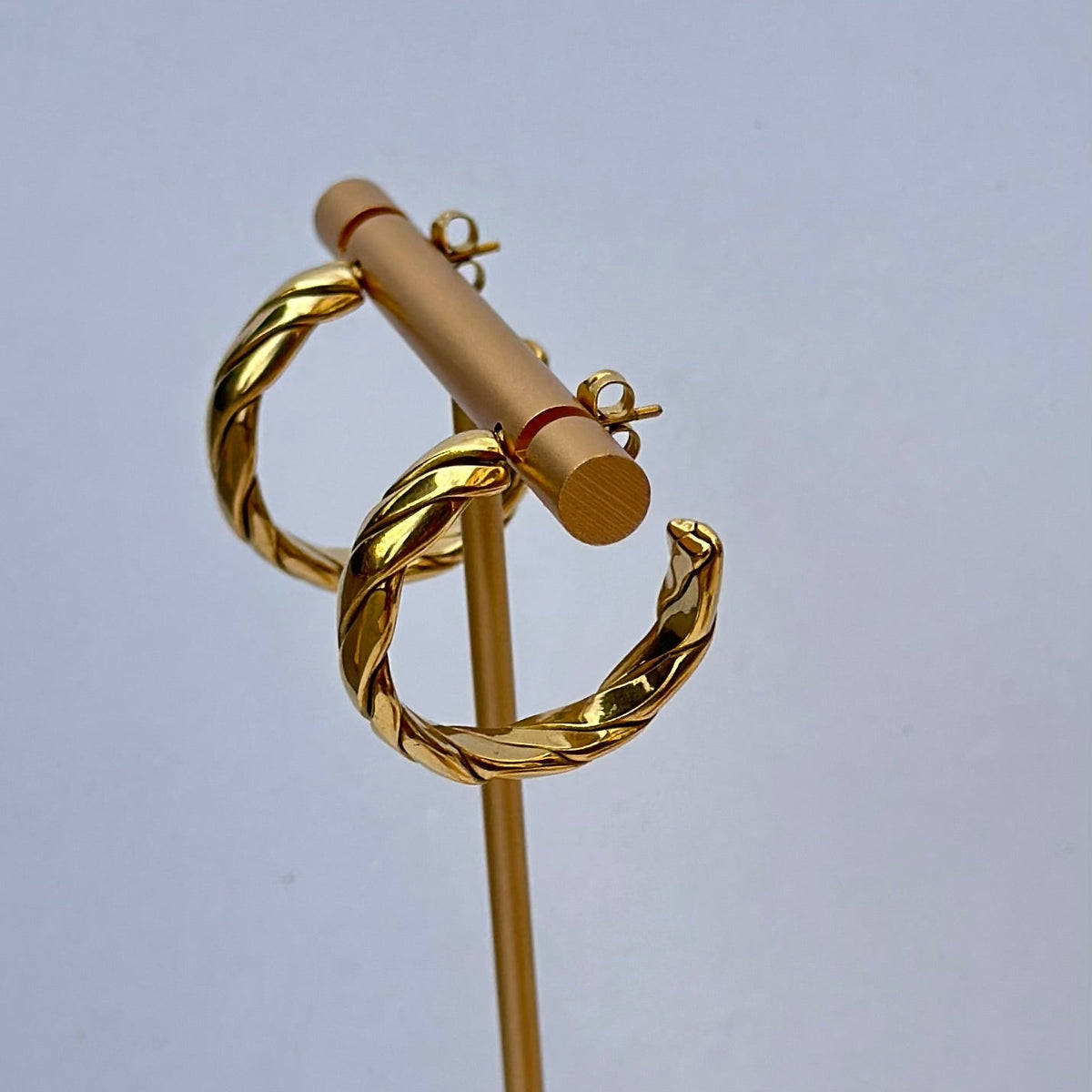Alejandra Hoops