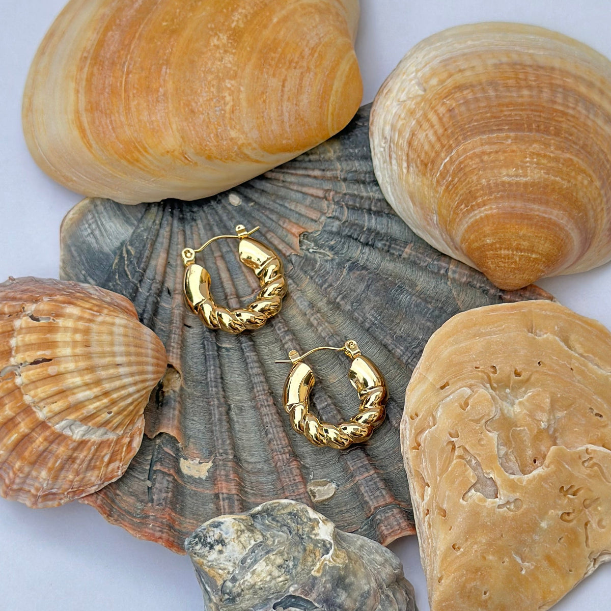 Rocío Hoops